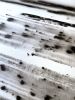 Blurry times 3 | Oil And Acrylic Painting in Paintings by Cristina Dalla Valentina. Item composed of canvas & synthetic compatible with minimalism style