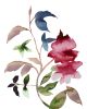 Rose Study No. 90 : Original Watercolor Painting | Paintings by Elizabeth Becker. Item composed of paper compatible with boho and minimalism style