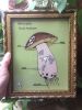Boletus edulis | Drawings by Sonoran Witch Boy. Item composed of paper