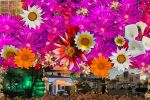 Personalized Collage Artwork | Mixed Media by Ri Anderson