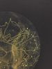 Laniakea, solar etching | Prints by Karen Fitzgerald / FitzgeraldArt. Item composed of paper
