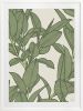 Rubbery Leaf Design - 1 & 2 - Oasis - Framed Art | Prints by Patricia Braune. Item composed of oak wood and paper