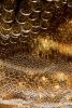 Doot Doot Doot | Chandeliers by JAN FLOOK | Doot Doot Doot in Merricks North. Item made of glass