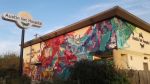 Splash | Murals by J MUZACZ | Austin Vet Hospital in Austin. Item made of synthetic