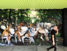 Wolves Mural | Street Murals by Heesco | Dandenong Market in Dandenong. Item made of synthetic