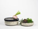 Raccolto - grande | Decorative Bowl in Decorative Objects by gumdesign. Item made of marble works with contemporary style
