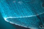 Ocean Resin Painting | Oil And Acrylic Painting in Paintings by Caylin Rose Janet. Item made of wood with synthetic works with contemporary style