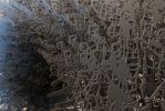 Chiaroscuro | Sculptures by Virginia Kistler | Columbus in Columbus