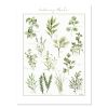Culinary Herb Art Print - Botanical Watercolor Kitchen Art | Prints by Jennifer Lorton Art. Item composed of paper in country & farmhouse or industrial style