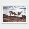 Trinity, Joshua Tree Photograph | Photography by Daylight Dreams Editions. Item made of paper works with boho & contemporary style