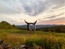 Whale Dance | Public Sculptures by Jim Sardonis. Item composed of bronze and concrete