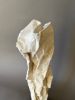 Pablo - Plaster Sculpture | Sculptures by Lutz Hornischer - Sculptures in Wood & Plaster. Item composed of walnut & ceramic