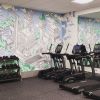 Leamington Gym Mural | Murals by Nigel Sussman | The Leamington in Oakland. Item made of synthetic