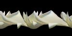 Unfolding No. 14 | Photography by Ansen Seale