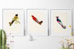 Aerofauna | Oil And Acrylic Painting in Paintings by Valero Doval. Item made of canvas with paper