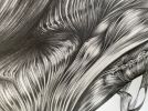 Flow 1 | Drawings by Russ Snedker. Item made of paper