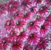 Echinacea | Oil And Acrylic Painting in Paintings by Elena Parau
