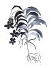 Fynbos I | Prints by Ruth Le Roux. Item made of paper