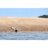 Photograph • Seal, England, Norfolk, Coastal, Nautical | Photography by Honeycomb. Item made of metal with paper works with coastal style