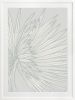 Nobilis Palm - 1 & 2 & 3 - Tide - Framed Art | Prints by Patricia Braune. Item made of canvas & paper