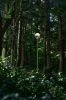 Mist LED Floor Lamp | Lamps by SEED Design USA. Item made of steel with glass