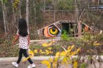 The eyes of an owl | Street Murals by Anat Ronen | Houston Arboretum & Nature Center in Houston