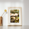 Photograph • Haven, Mushrooms, Fungi, PNW, Oregon, Macro | Photography by Honeycomb. Item composed of metal and paper in boho style