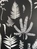 Botanical Wall Art | Prints by Erik Linton. Item composed of paper