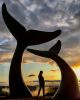 Whale Dance | Public Sculptures by Jim Sardonis. Item composed of bronze and concrete