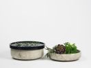 Raccolto - grande | Decorative Bowl in Decorative Objects by gumdesign. Item made of marble works with contemporary style