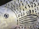 Save Our Oceans | Public Mosaics by Carlos Alves & JC Studios | Port Everglades Terminal 26 in Fort Lauderdale