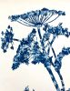 Summer Woods: Framed original cyanotype painting 36 x 29 x 3 | Mixed Media in Paintings by Christine So. Item made of paper works with boho & contemporary style