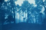 Sunrise Ridge (20 x 30" unframed hand-printed cyanotype) | Photography by Christine So. Item composed of cotton and paper in boho or country & farmhouse style