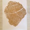 Gold Tree Ring Print Locust Tree - 36x48 inches | Prints by Erik Linton. Item made of paper