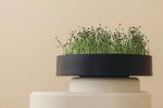 MicroPod | Planter in Vases & Vessels by Mother. Item composed of synthetic