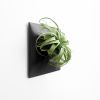 Node L Wall Planter, 12" Mid Century Modern Planter, Black | Plant Hanger in Plants & Landscape by Pandemic Design Studio. Item composed of stoneware in mid century modern or japandi style