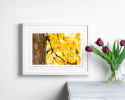 Photograph • Bird Photography, Fall, Autumn, PNW | Photography by Honeycomb. Item made of metal with paper