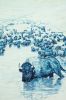 "1868"  migrating bison herd | Oil And Acrylic Painting in Paintings by Patricia A Griffin | Gallery Wild in Jackson. Item composed of linen and synthetic