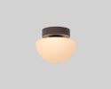 Pensee Wall/Ceiling Light | Sconces by SEED Design USA