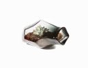 Geo Terrarium | Planter in Vases & Vessels by Esque Studio. Item made of glass