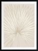 Nobilis Palm - 1 & 2 & 3 - Sand - Framed Art | Prints by Patricia Braune. Item made of canvas & paper