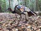 Wild Turkey Sculptures | Public Sculptures by Wendy Klemperer Art Inc | St. Louis University Henry Lay Sculpture Park in Louisiana. Item made of steel