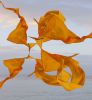 Vortex | Prints by Teresa Camozzi. Item composed of metal