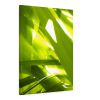 Sunkissed_3608  --  the life-giving energy of nature | Prints in Paintings by Petra Trimmel. Item made of canvas with paper