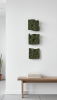 GAIA — Matcha | GAIA Collection | Wall Sculpture in Wall Hangings by Sizmari. Item made of fiber works with minimalism & contemporary style