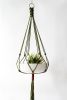 Macrame Plant Hanger, HOlive Green, Deep Burgundy, Hand-Dyed | Wall Sculpture in Wall Hangings by Freefille. Item composed of cotton in contemporary or modern style