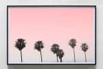 Pink Palms | Photography by Capricorn Press. Item composed of paper in minimalism or contemporary style