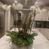 Rustic Orchid and Succulent Arrangements | Floral Arrangements by Fleurina Designs