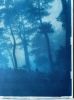 Sunrise Ridge (23 x 35" hand-printed cyanotype, ed. 1/3) | Photography by Christine So