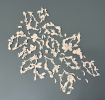 What Remains After the Bloom | Wall Sculpture in Wall Hangings by Julia Stanger Studios. Item composed of ceramic in contemporary or eclectic & maximalism style